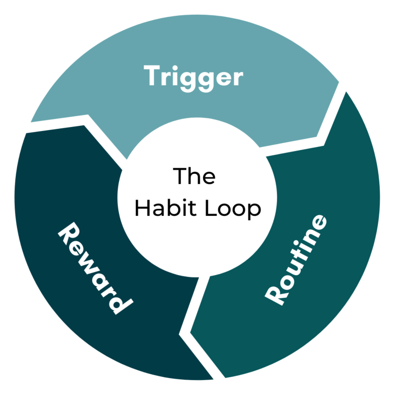 habit loop